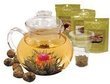 Online Deals Primula Glass Flowering Tea Gift Set - Target