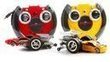 Buy.com - Fast Wheels R/C Cars Kit (2-Pack) $19.99