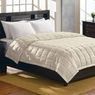 Home Classics Striped Down-Alternative Reversible Blanket