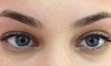 Xtreme Lashes by Cynthia Lowry Coupons Abilene, Texas Deals