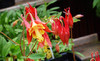 Irvine Nature Center Coupons Owings Mills, Maryland Deals
