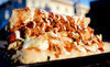 Dojo Dog Coupons Berkeley, California Deals