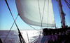 All Points Of Sail Sailing School Coupons Seabrook, Texas Deals