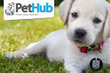 PetHub.com - June 2012 Coupons  Deals