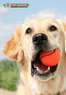 Dr. Boyd's Pet Resort Coupons San Diego, CA Deals