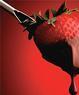 The Magic Pot Fondue Bistro Coupons EDGEWATER, NJ Deals
