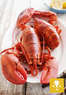 The Lobster Pool Coupons Rockport, MA Deals