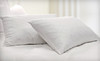 Two-Pack of Natural-Fill Pillows Coupons  Deals