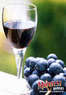 Midwest Supplies Coupons  Deals