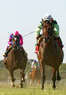 Remington Park  Coupons Oklahoma City, OK Deals