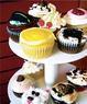 Hard Bean Cafe Coupons Camp Hill, PA Deals