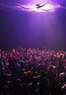Fuerza Bruta Coupons New York, NY Deals