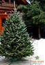 Five Star Christmas Tree Co. Coupons  Deals