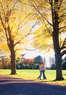 Pocono Palace Coupons East Stroudsburg, PA Deals