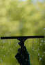 Green Team Window Cleaning Coupons  Deals