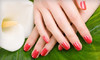 Costa Verde Nails Coupons San Diego, California Deals