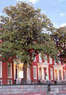 Linden Row Inn Coupons Richmond, VA Deals