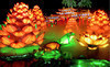 Chinese Lantern Festival Coupons Dallas, Texas Deals