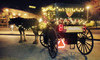 Livermore Wine Carriage Coupons  Deals