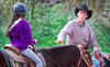 JM Performance Horse Coupons Sunol, California Deals