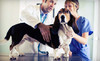 VIP PetCare Coupons  Deals