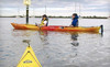 St. Augustine Kayak Company Coupons St. Augustine, Florida Deals