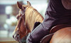 Jim-a-Dee Ranch Coupons Sanger, Texas Deals