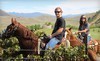 Wine Country Trails by Horseback Coupons Temecula, California Deals