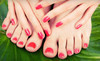 Salon Ell Coupons New Bedford, Massachusetts Deals