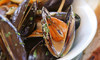 Cafe Biere Coupons Emeryville, California Deals