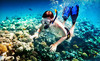 Blu Water Scuba Coupons Manassas, Virginia Deals