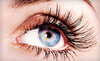 Oasis Nail Salon Coupons Citrus Heights, California Deals
