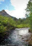 Murphy's River Lodge Coupons Estes Park, CO Deals
