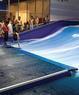 Surf Xtreme Coupons Elk Grove, CA Deals