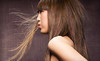 Lady Godiva Hair Studio Coupons Colorado Springs, Colorado Deals
