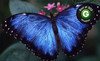 Houston Museum of Natural Science Coupons Houston, Texas Deals