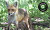 Louisville Nature Center Coupons LOUISVILLE, Kentucky Deals