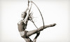 AntiGravity NTF Coupons Kissimmee, Florida Deals