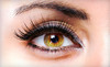 Plush Style Lounge Coupons Tampa, Florida Deals