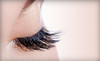 Viva La Lash Coupons Bothell, Washington Deals