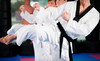 American Dojo Coupons Hartland, Wisconsin Deals