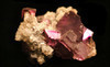 Colburn Earth Science Museum Coupons Asheville, North Carolina Deals