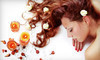 Hair by Bocci Coupons Shelby Township, Michigan Deals