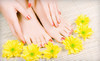 Tommy Z's Salon and Spa Coupons Belleville, Illinois Deals
