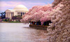 Premier Photo Tours Coupons Alexandria, Virginia Deals