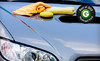 Platinum Auto Detailing Coupons Winston Salem, North Carolina Deals