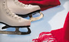 Sugar Land Ice & Sports Center Coupons Sugar Land, Texas Deals