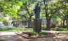 Savannah Belle Tours Coupons Savannah, Georgia Deals