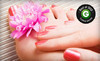 Metro Salon Coupons Howell, New Jersey Deals