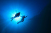 Sea Stallion Scuba Outfitters Coupons Lake Forest, California Deals